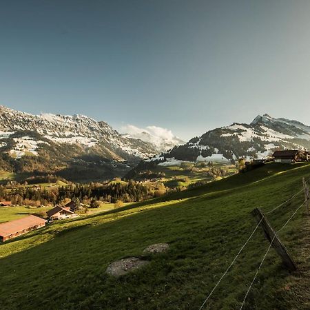 Chalet Bergwelt Фрутиген Экстерьер фото