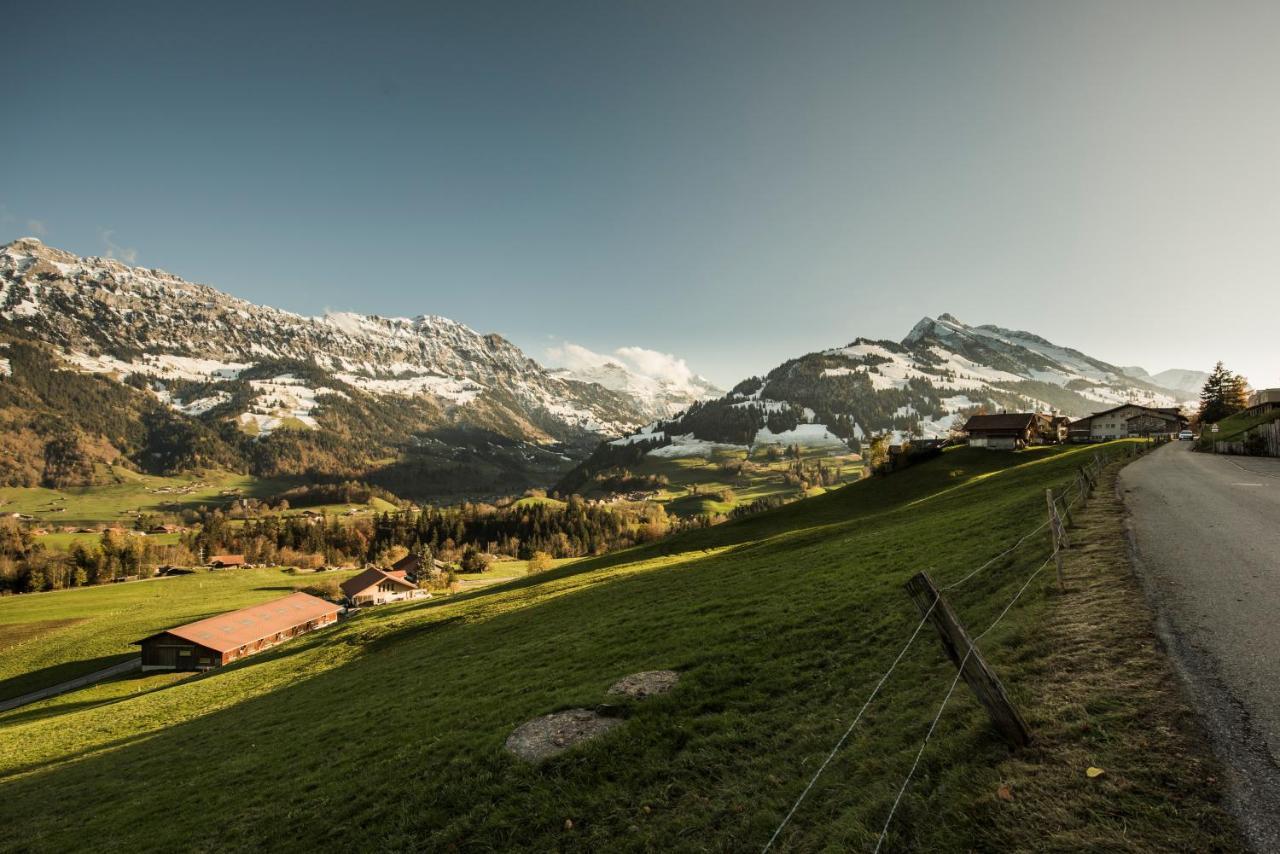 Chalet Bergwelt Фрутиген Экстерьер фото