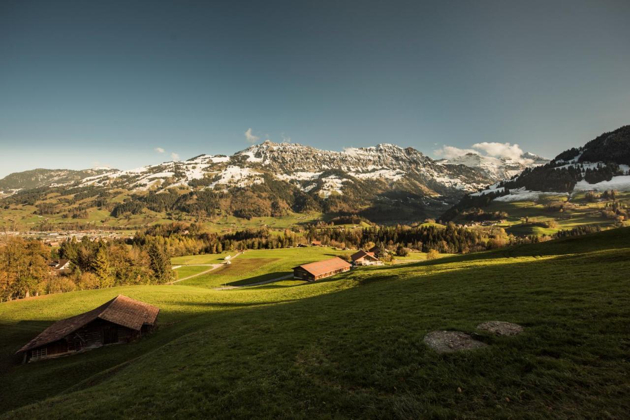 Chalet Bergwelt Фрутиген Экстерьер фото